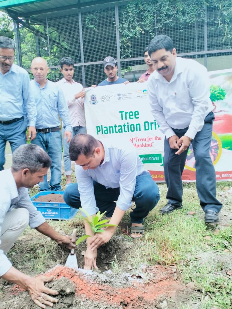 पौधारोपण करना अच्छी बात, परंतु इन्हें बड़ा वृक्ष बनाना भी जारी : नगर आयुक्त