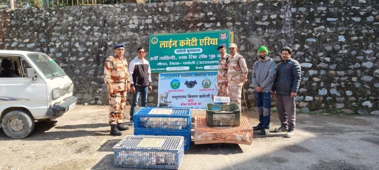 आईटीबीपी को भेड़, बकरी, मुर्गी और ट्राउट फिश की सप्लाई करते हैं किसान