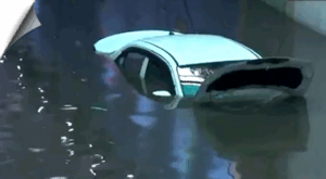 Bus and a car are submerged in water in the Delhi after heavy rains