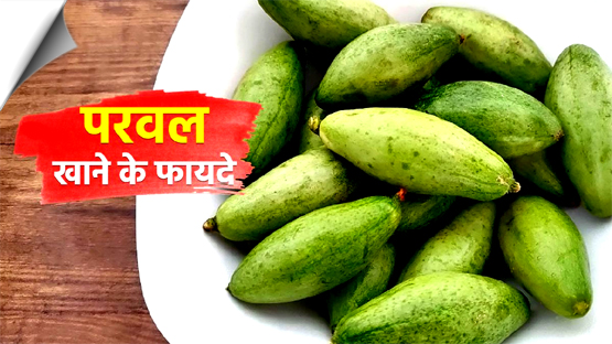 परवल के फायदे बहुत, खून को करता है साफ़, लेकिन इन लोगों को करना चाहिए परहेज