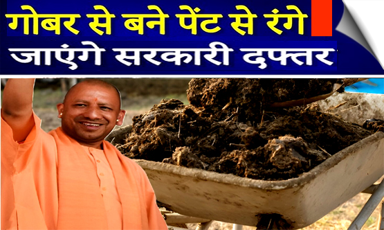 CM आदित्यनाथ ने नया आदेश, उप्र के सभी सरकारी दफ्तरों को गाय के गोबर से बने प्राकृतिक पेंट से रंगा जाएगा