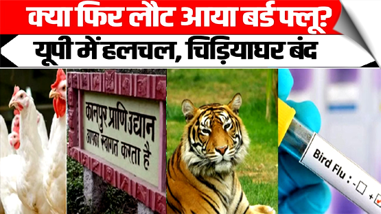 बर्ड फ्लू का खौफ: उप्र के सभी चिड़ियाघर एक हफ्ते के लिए बंद, वन और स्वास्थ्य विभाग हाई अलर्ट पर