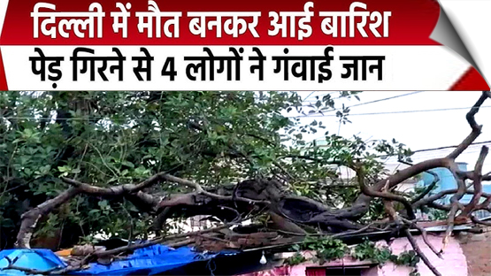 Delhi rains: Woman and three children killed as tree falls on tubewell room in Dwarka