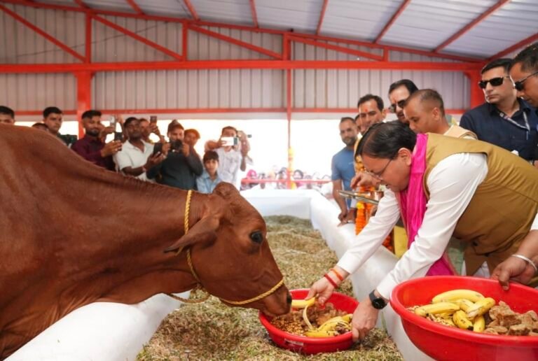 प्रदेश में 16 हजार से अधिक निराश्रित गोवंश को गौ सदनों के माध्यम से दिया जा रहा सुरक्षित आश्रय – मुख्यमंत्री